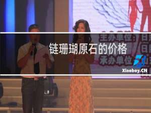 链珊瑚原石的价格