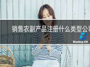 销售农副产品注册什么类型公司