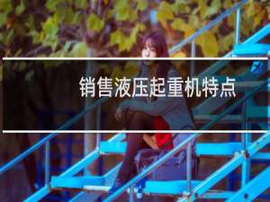 销售液压起重机特点