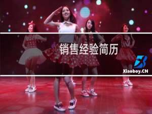 销售经验简历