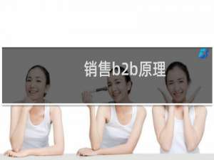 销售b2b原理