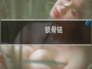 锁骨链（锁骨）