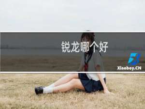 锐龙哪个好