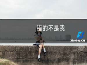 错的不是我，而是这个世界什么梗