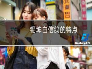 锡坤白信鸽的特点