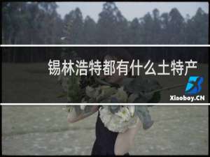 锡林浩特都有什么土特产