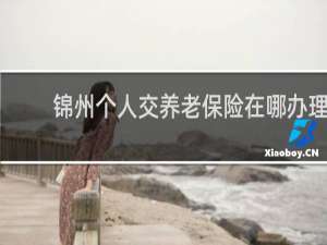 锦州个人交养老保险在哪办理