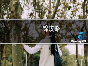 锦攻略
