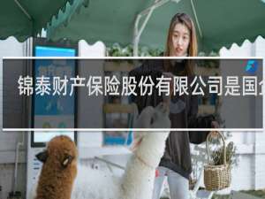 锦泰财产保险股份有限公司是国企吗