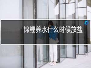 锦鲤养水什么时候放盐
