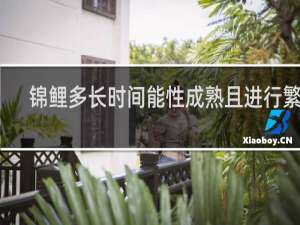 锦鲤多长时间能性成熟且进行繁殖