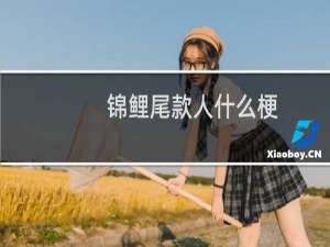 锦鲤尾款人什么梗？什么梗