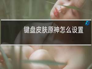 键盘皮肤原神怎么设置