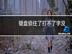 键盘锁住了打不了字没有fn键（键盘锁住了打不了字）