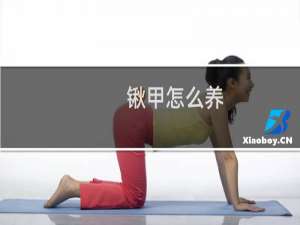 锹甲怎么养