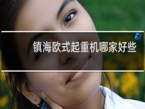 镇海欧式起重机哪家好些