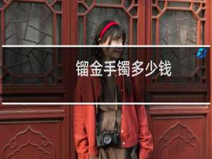 镏金手镯多少钱