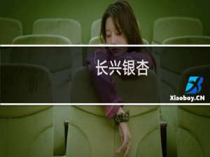 长兴银杏