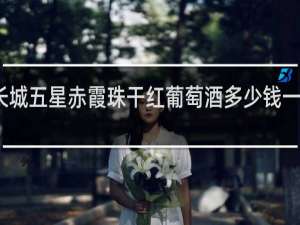 长城五星赤霞珠干红葡萄酒多少钱一瓶烟台