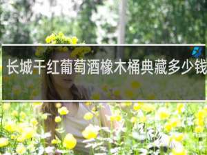 长城干红葡萄酒橡木桶典藏多少钱一瓶