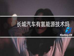 长城汽车有氢能源技术吗