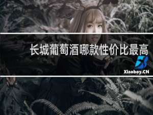 长城葡萄酒哪款性价比最高