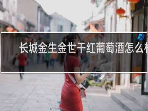 长城金生金世干红葡萄酒怎么样