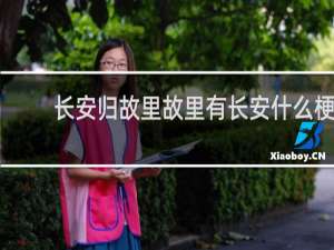 长安归故里故里有长安什么梗