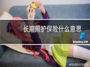 长期照护保险什么意思
