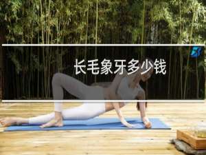 长毛象牙多少钱