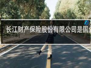 长江财产保险股份有限公司是国企吗