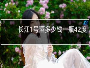 长江1号酒多少钱一瓶42度