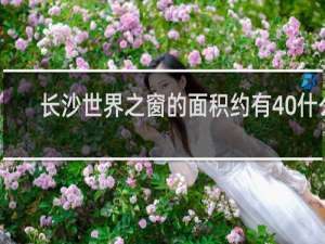 长沙世界之窗的面积约有40什么