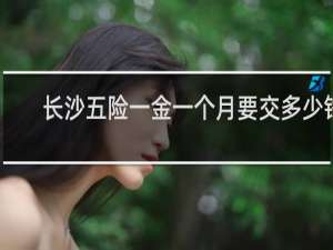 长沙五险一金一个月要交多少钱