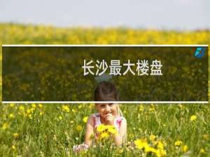 长沙最大楼盘
