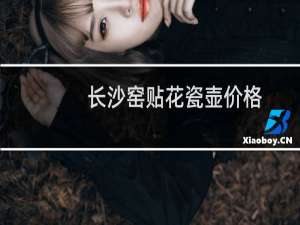 长沙窑贴花瓷壶价格