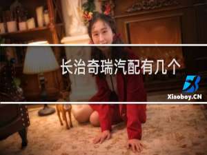 长治奇瑞汽配有几个