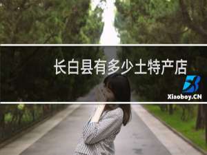 长白县有多少土特产店