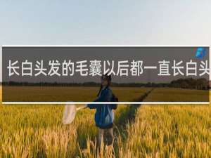 长白头发的毛囊以后都一直长白头发吗