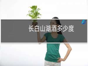 长白山湖酒多少度