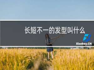 长短不一的发型叫什么