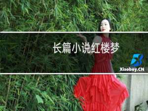 长篇小说红楼梦