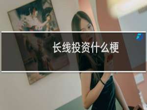 长线投资什么梗
