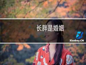 长胖是婚姻