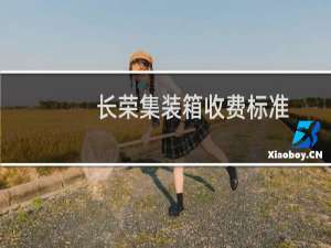 长荣集装箱收费标准