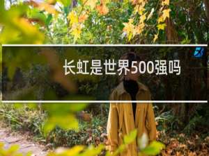 长虹是世界500强吗