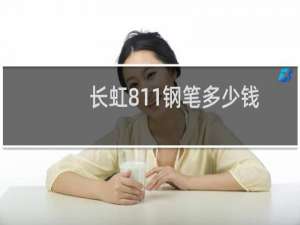 长虹811钢笔多少钱