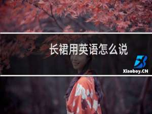 长裙用英语怎么说