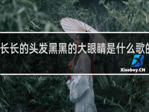 长长的头发黑黑的大眼睛是什么歌的歌词