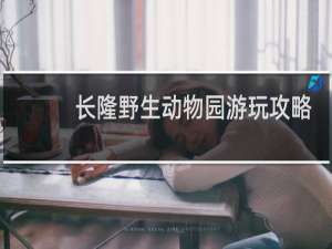 长隆野生动物园游玩攻略